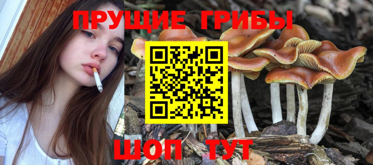 Псилоцибиновые грибы ЛСД Люберцы