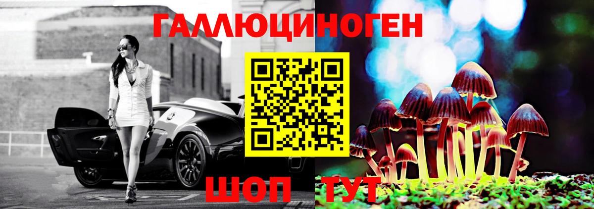Псилоцибиновые грибы Psilocybe  Вход с VPN  Люберцы 